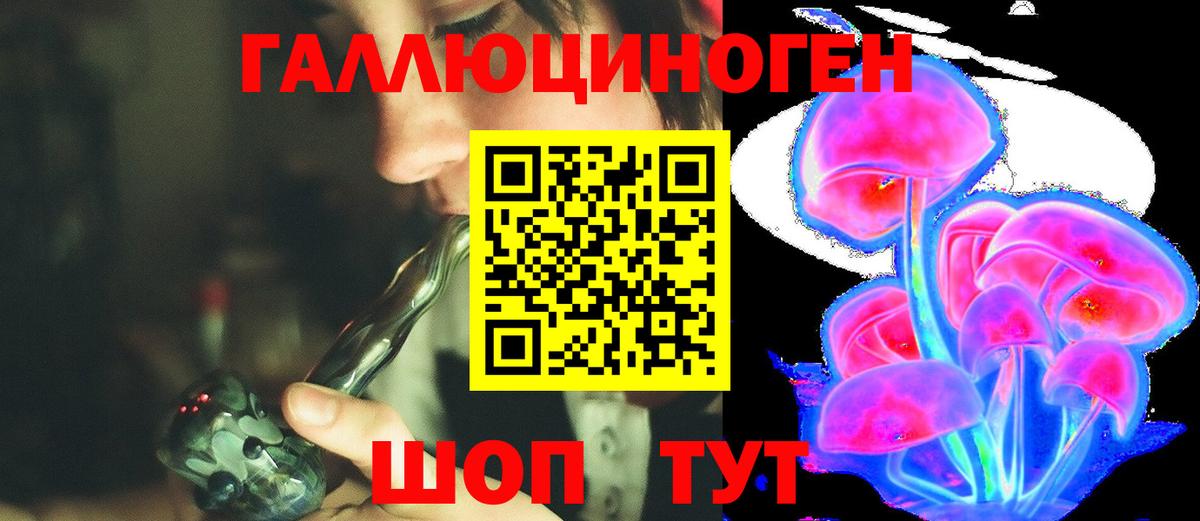Псилоцибиновые грибы Psilocybine cubensis Гагарин